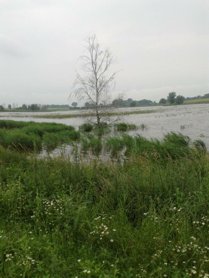 Apartments Zum Brauergang Garz  Buitenkant foto
